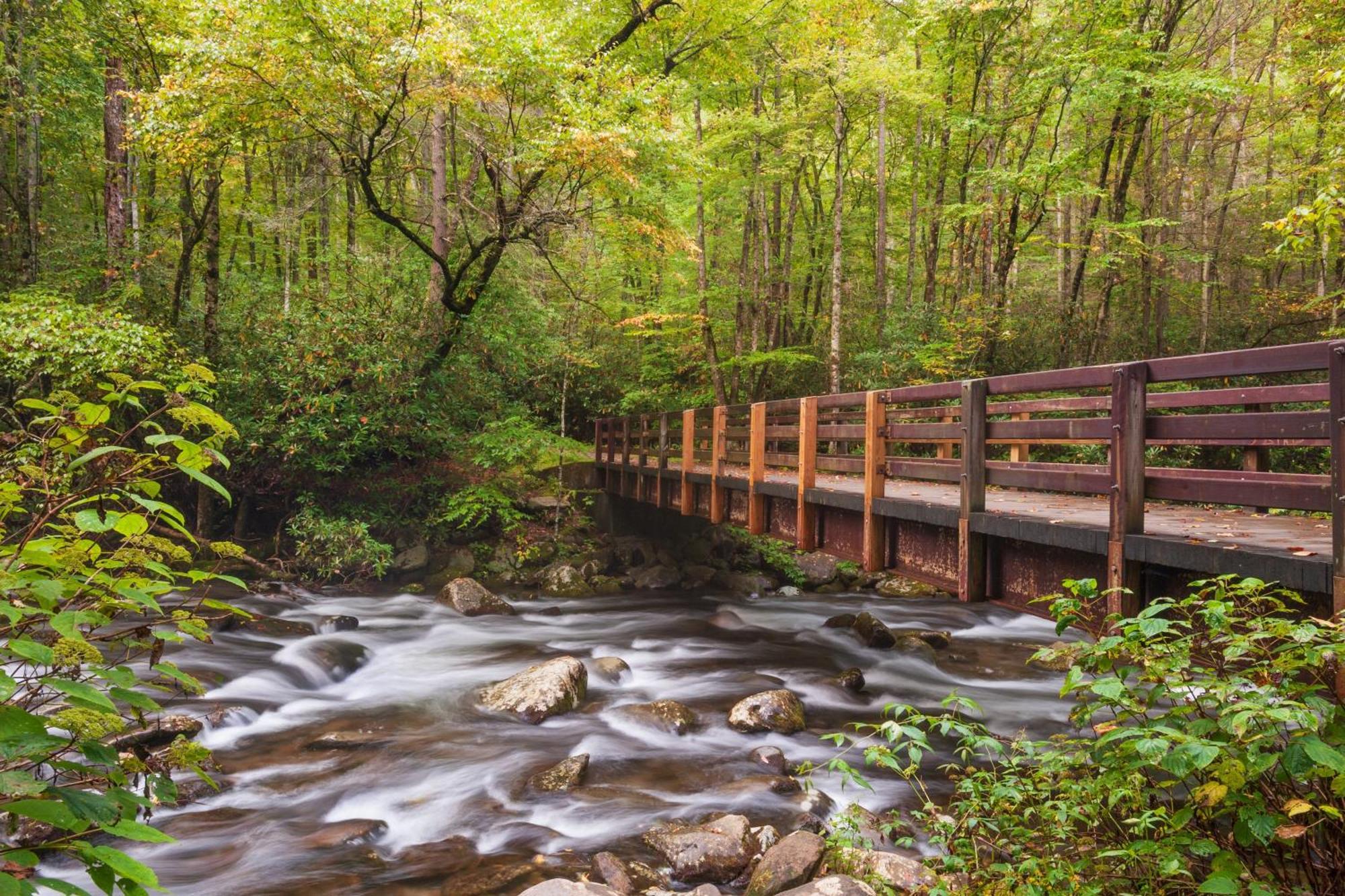 Smoky Bear Lodge With Guest House, Hot Tub, 1089 Free Tickets Each Paid Day, Dollywood And More Sevierville Exterior photo